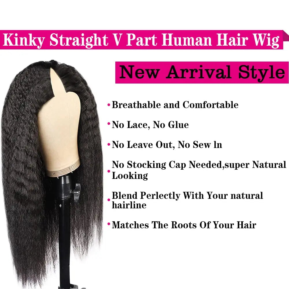 Customized Kinky Straight Virgin Human Hair Lace Wig Vendor, Natural Brazilian Human HD Lace Frontal Wigs for Black Women