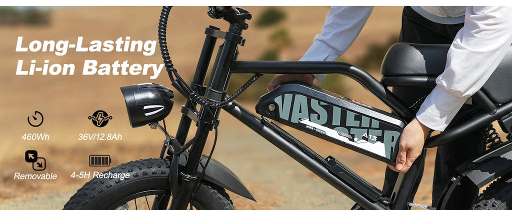 VDL 16-Inch Fat Tire Electric Bike – 800W Peak Motor