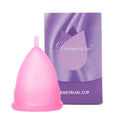 Reusable Silicone Menstrual Cup