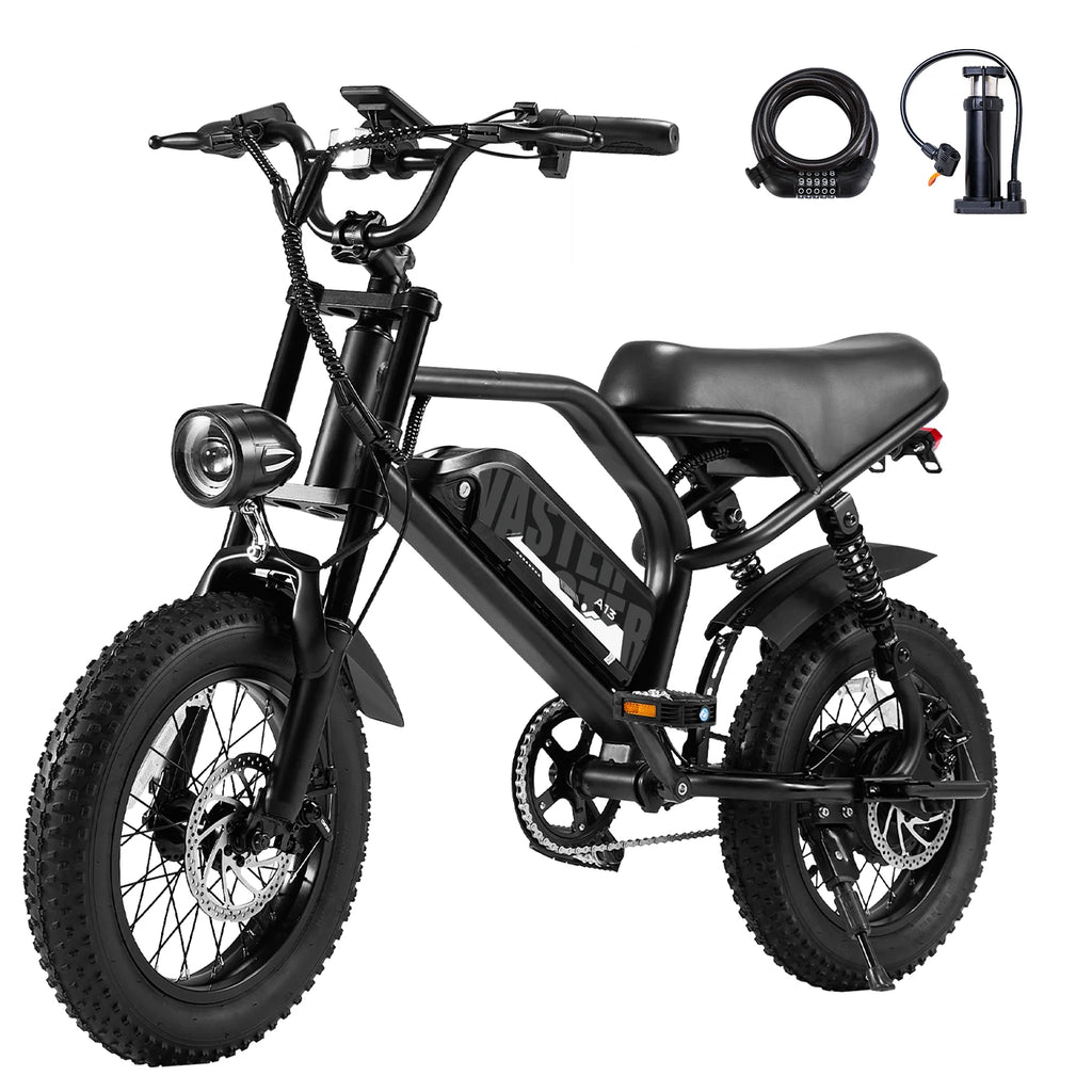 VDL 16-Inch Fat Tire Electric Bike – 800W Peak Motor