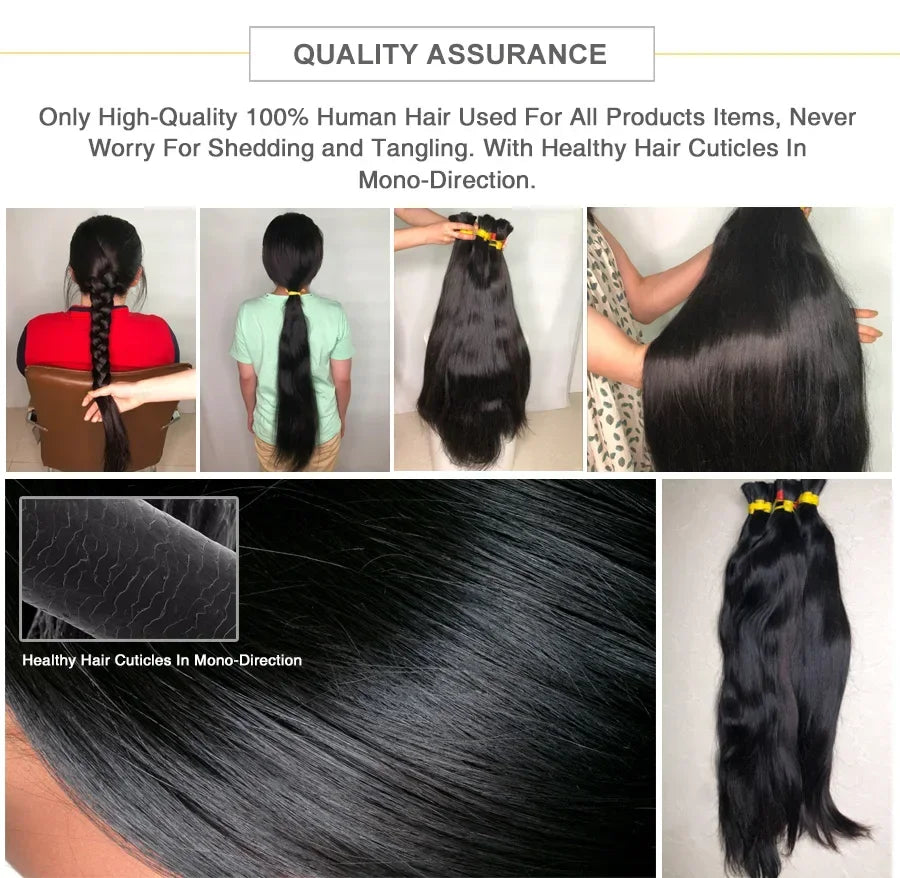 Millionaire Queen 3C4A Burmese Curly Human Hair | 100% Virgin Remy | Bundles, 13x4 HD Frontal & 4x4 HD Closure | 14–26 Inches