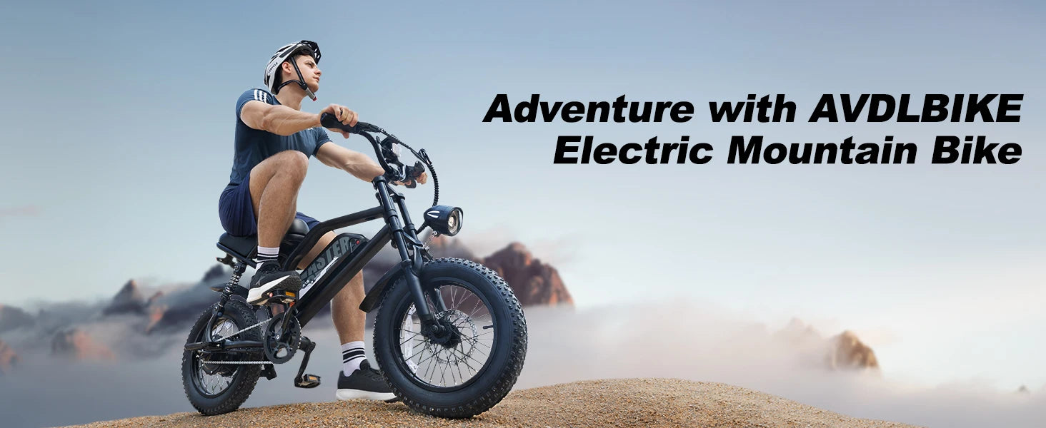 VDL 16-Inch Fat Tire Electric Bike – 800W Peak Motor
