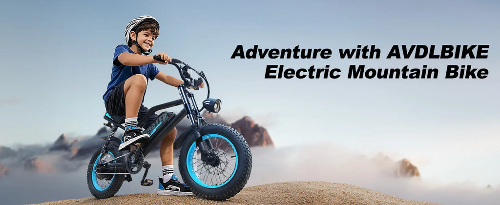 VDL 16-Inch Fat Tire Electric Bike – 800W Peak Motor