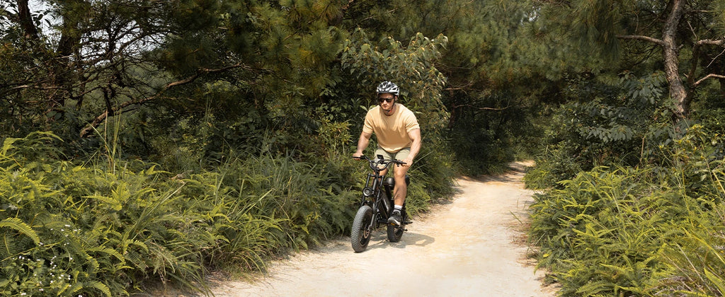 VDL 16-Inch Fat Tire Electric Bike – 800W Peak Motor