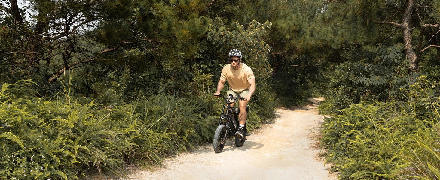 VDL 16-Inch Fat Tire Electric Bike – 800W Peak Motor
