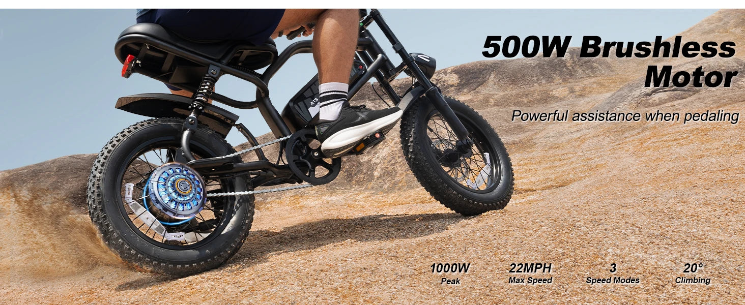 VDL 16-Inch Fat Tire Electric Bike – 800W Peak Motor
