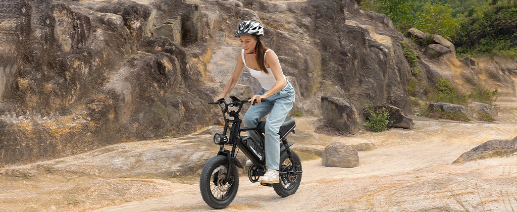 VDL 16-Inch Fat Tire Electric Bike – 800W Peak Motor