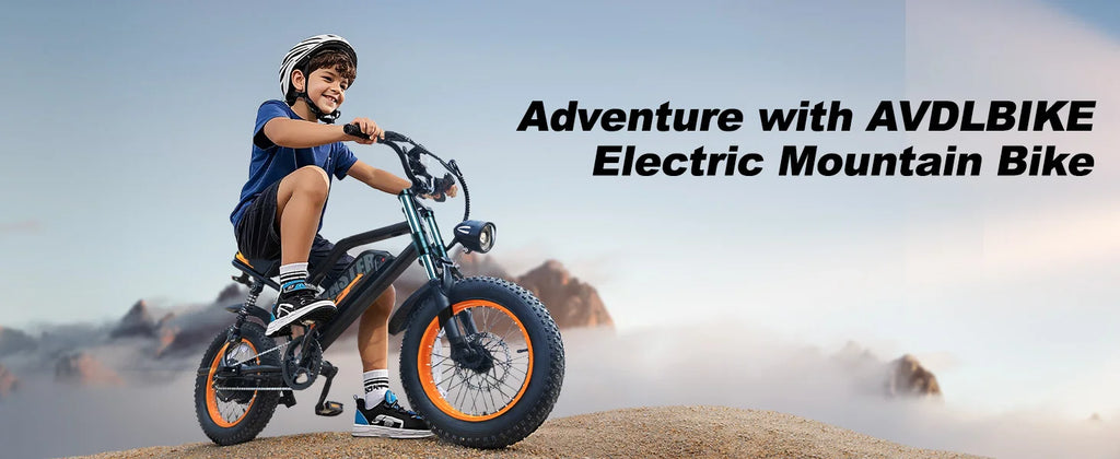 VDL 16-Inch Fat Tire Electric Bike – 800W Peak Motor