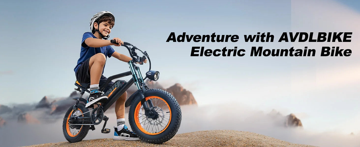 VDL 16-Inch Fat Tire Electric Bike – 800W Peak Motor
