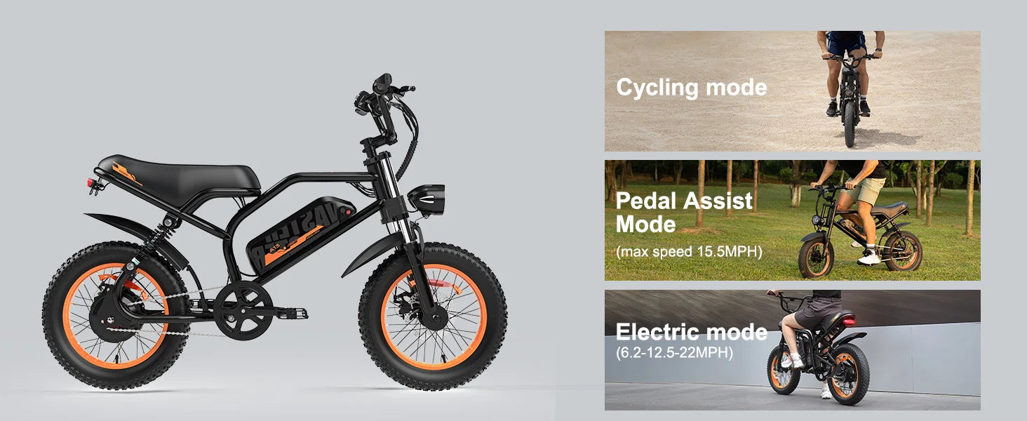VDL 16-Inch Fat Tire Electric Bike – 800W Peak Motor