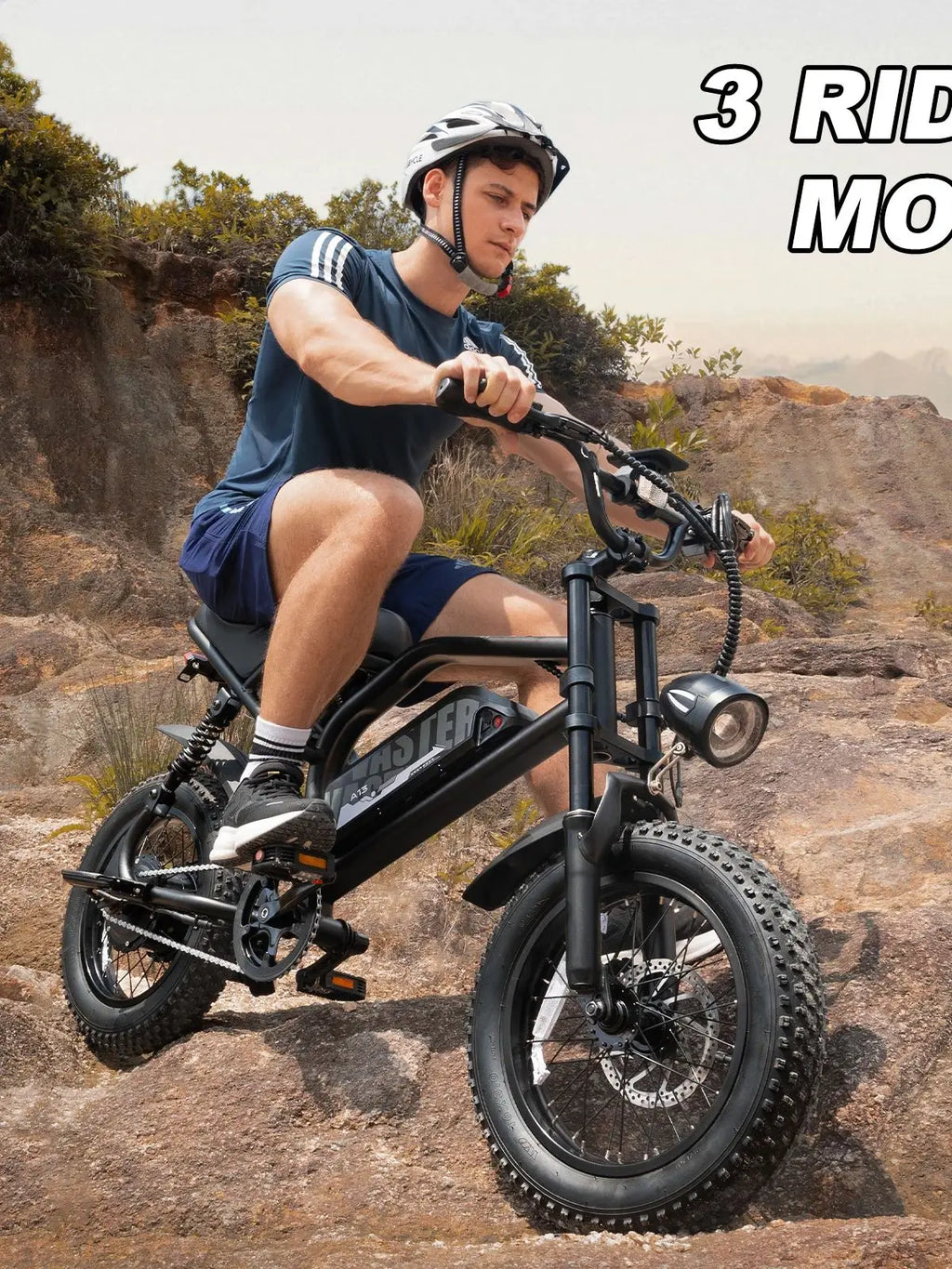 VDL 16-Inch Fat Tire Electric Bike – 800W Peak Motor