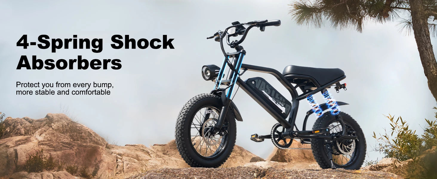 VDL 16-Inch Fat Tire Electric Bike – 800W Peak Motor