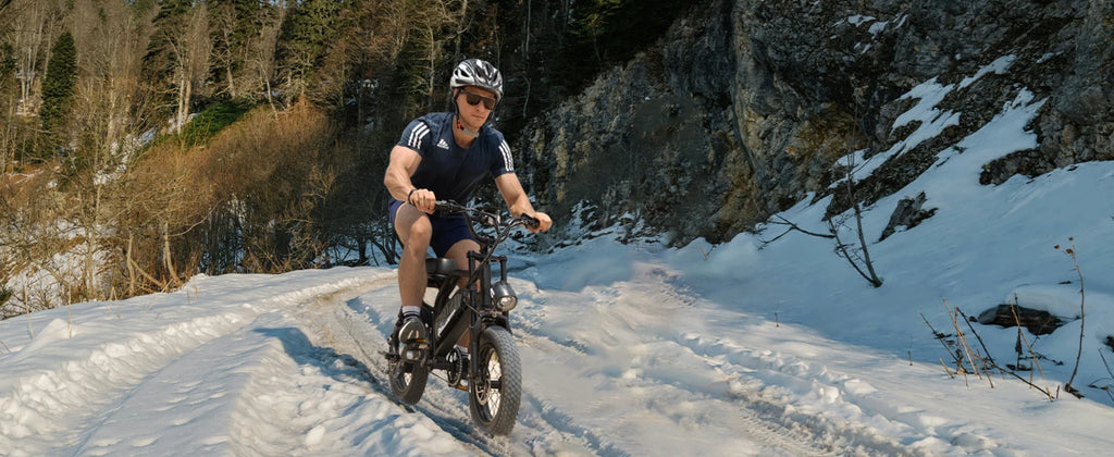 VDL 16-Inch Fat Tire Electric Bike – 800W Peak Motor