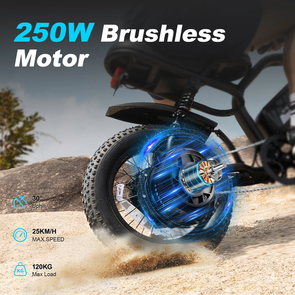 VDL 16-Inch Fat Tire Electric Bike – 800W Peak Motor