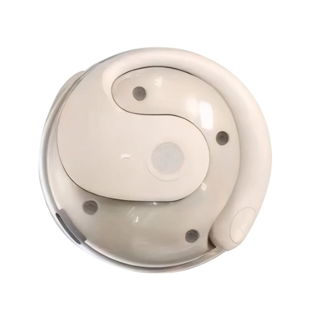 3-in-1 AI Translator Wireless Earbuds